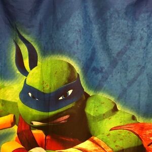 Teenage Mutant Ninja Turtles Leonardo Shower Curtain Panel - Blue & Green